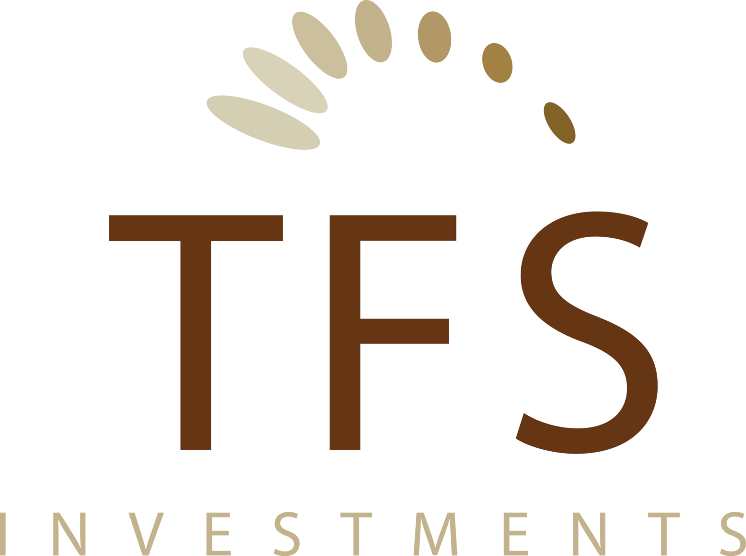 tfs-investments-real-estate-investments-development